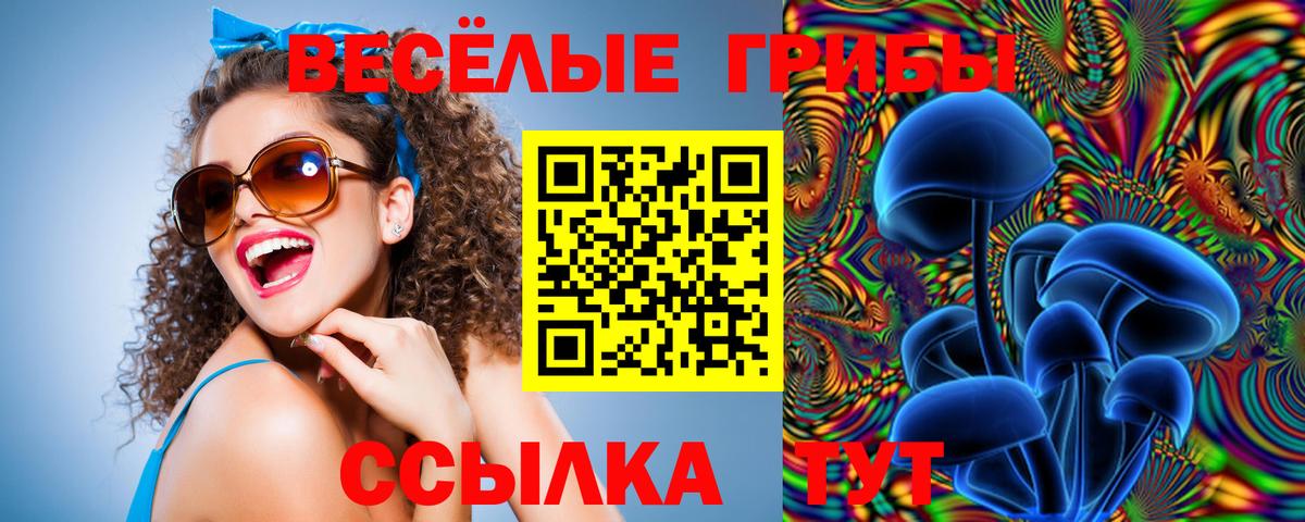 Псилоцибиновые грибы MAGIC MUSHROOMS  Галлюциногенные грибы Cubensis  Кимры  Вход с VPN 